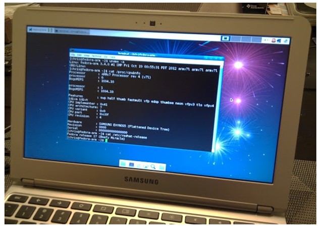 Linux on a Chromebook (image from muycomputer.com)