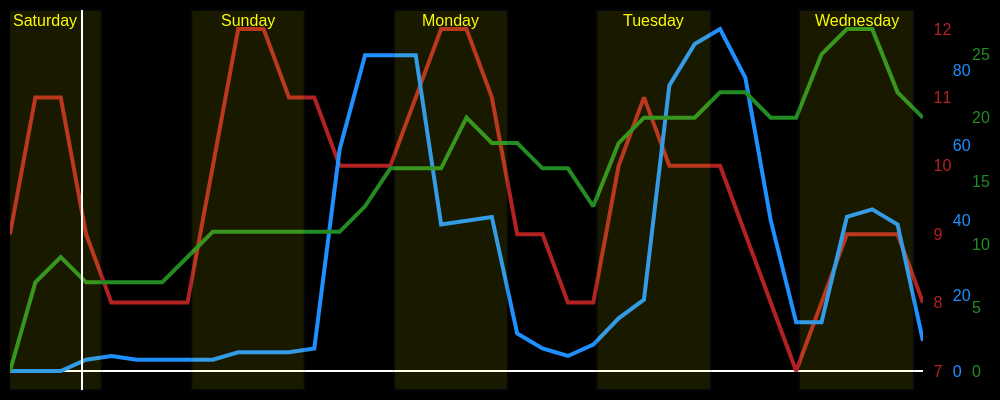 A Meteogram image showing temperature, precipitation and wind speed for five days