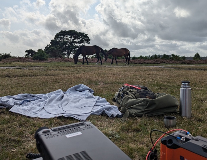 Radio in the foreground, horses in the background about 10m away