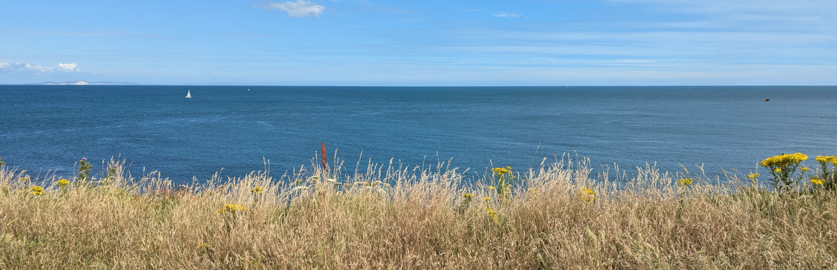 Image split into three horizontal strips: sky, sea and heathland