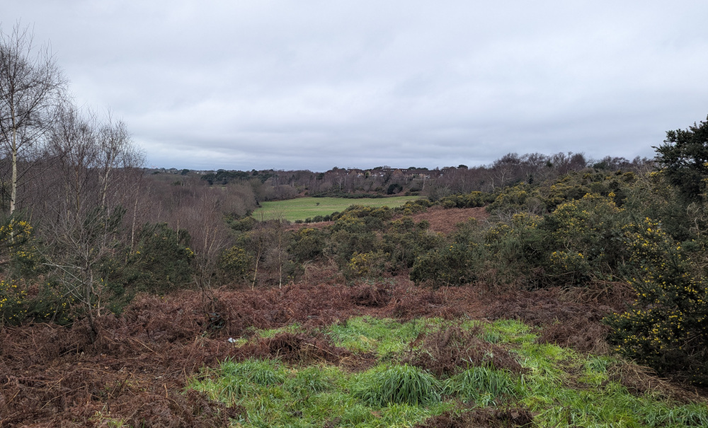 View of a valley and fields in the distance