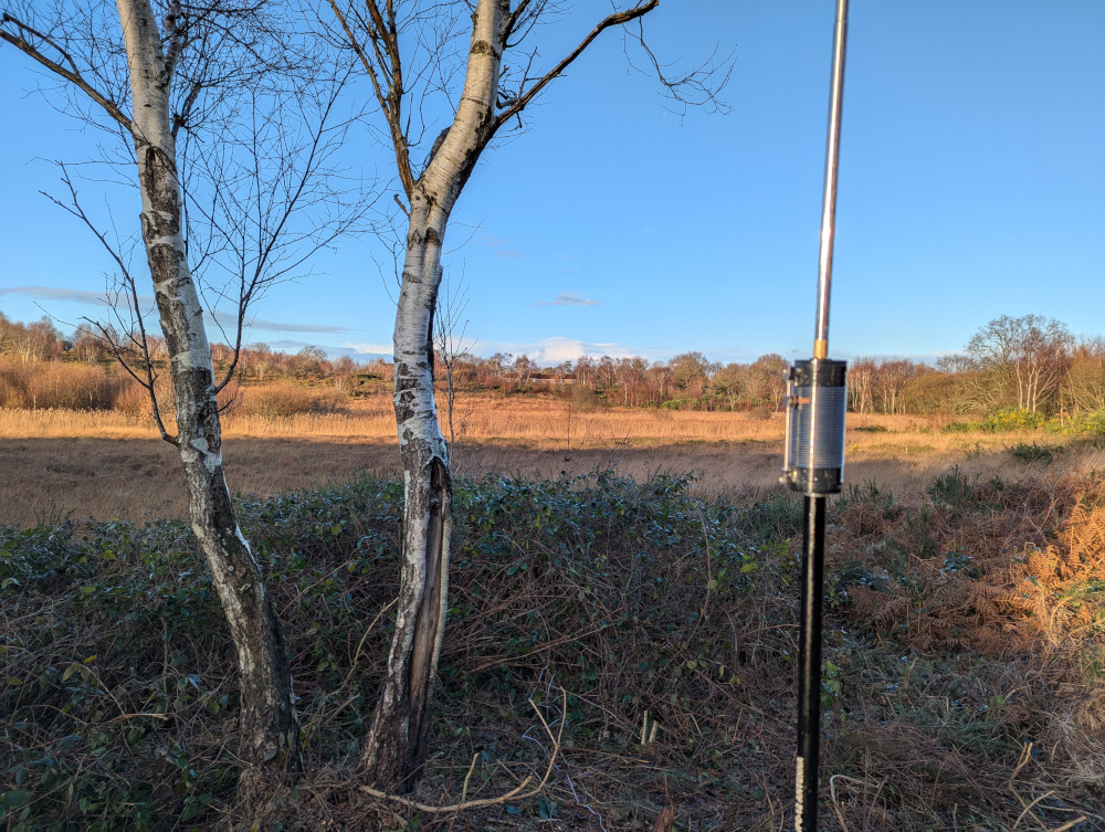 Antenna with loading coil shown, plus two tree trunks. Heathland in the background.