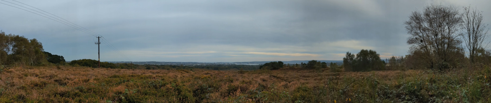 View of Upton Heath looking down towards the harbour