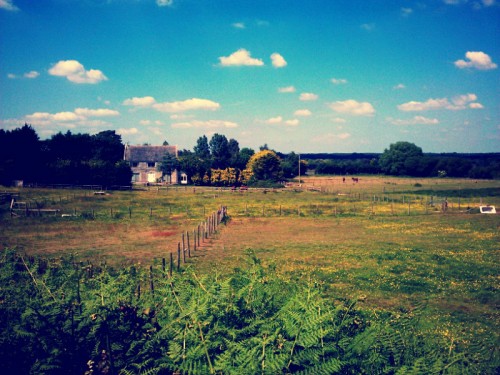 Field and Farmhouse