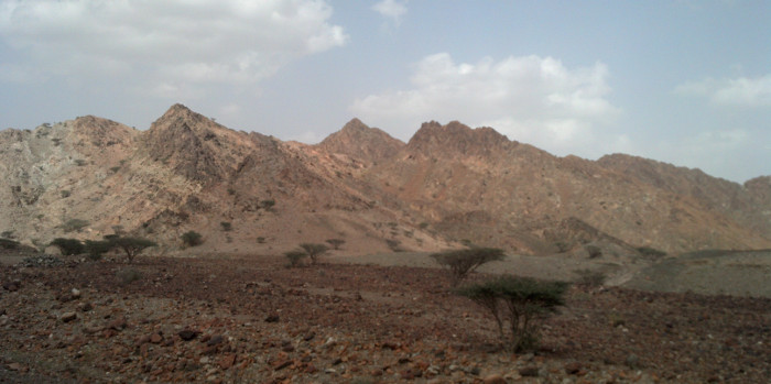 Madha wadi