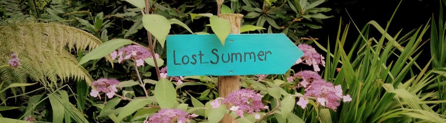 Lost Summer