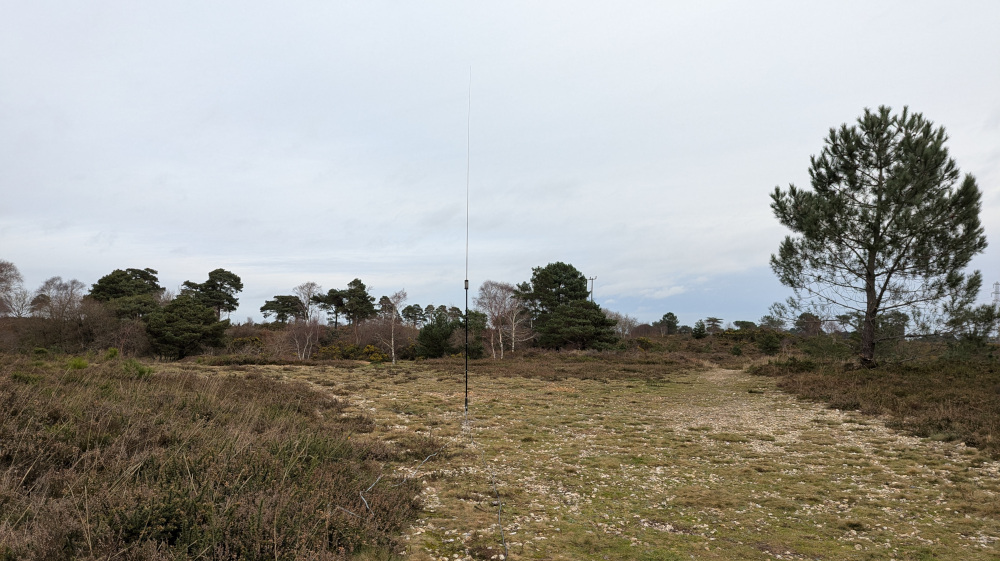 Vertical antenna with heath in the background