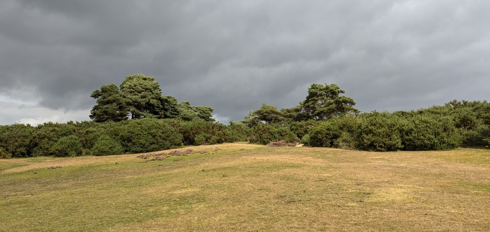 View up a hill, with sunlit grass in the foreground and grey clouds overhead