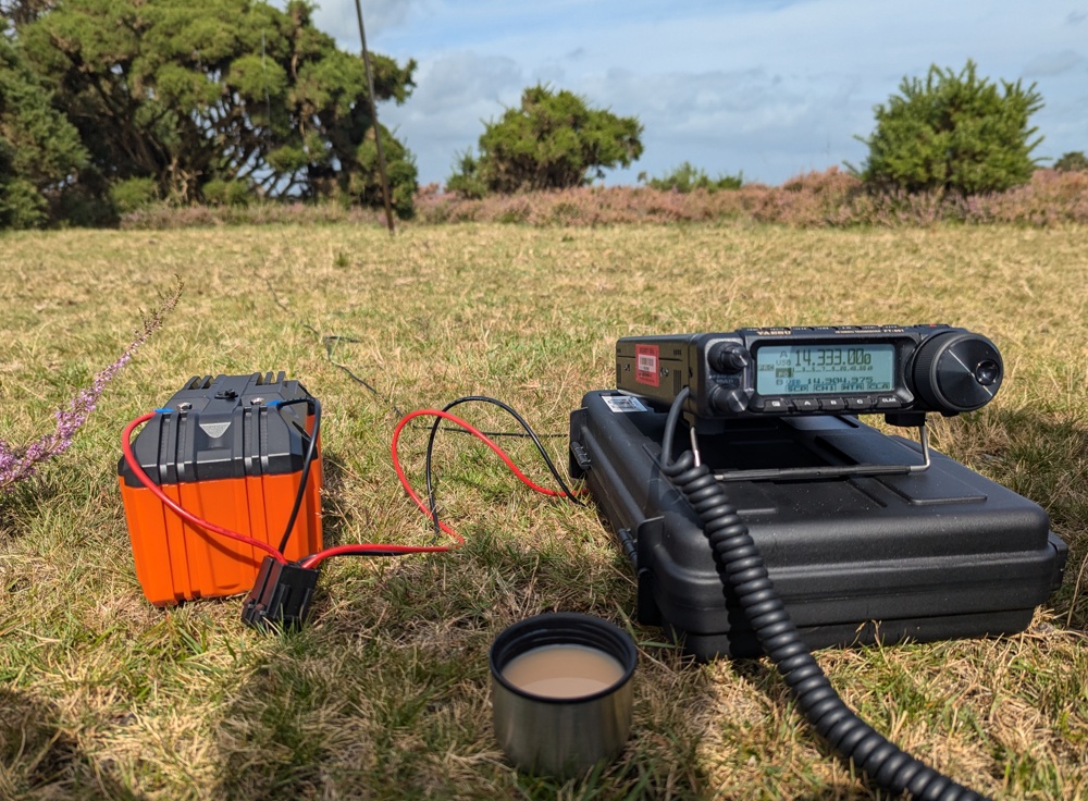 Radio in the foreground, grass, bushes and antenna pole in the background