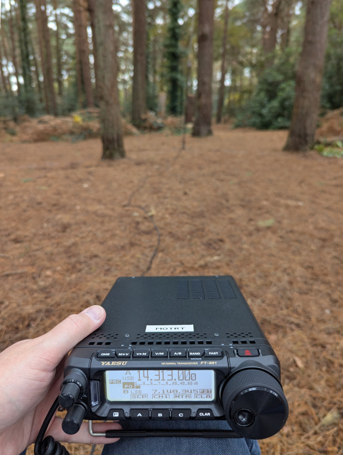 Yaesu FT-891 on my knee in the foreground, cable trailing off to an antenna out of focus in the background. The floor is covered with brown leaves and there are a number of tall straight tree trunks.