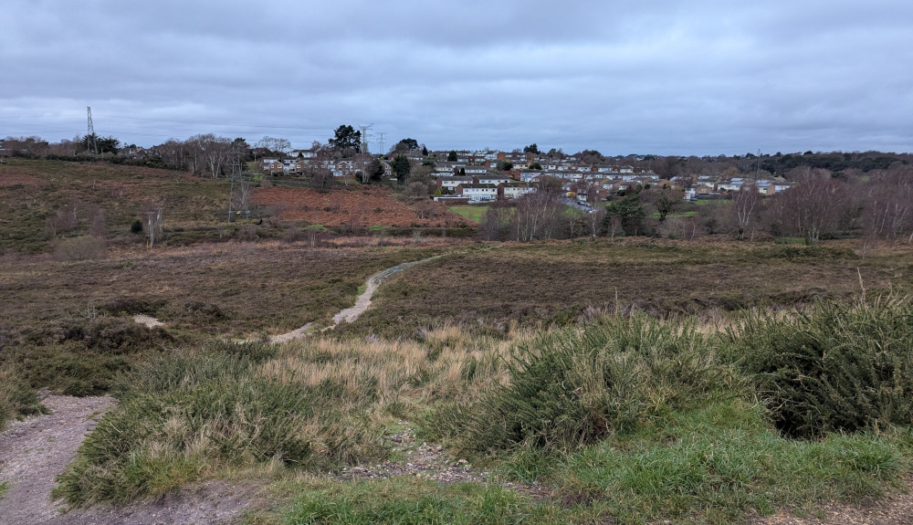 View of heathland over the Bourne Valley