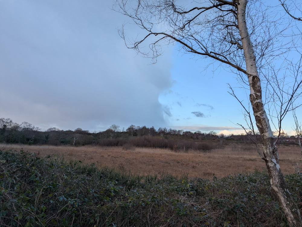 Heathland and sky, the left half of the sky is overcast in low grey cloud