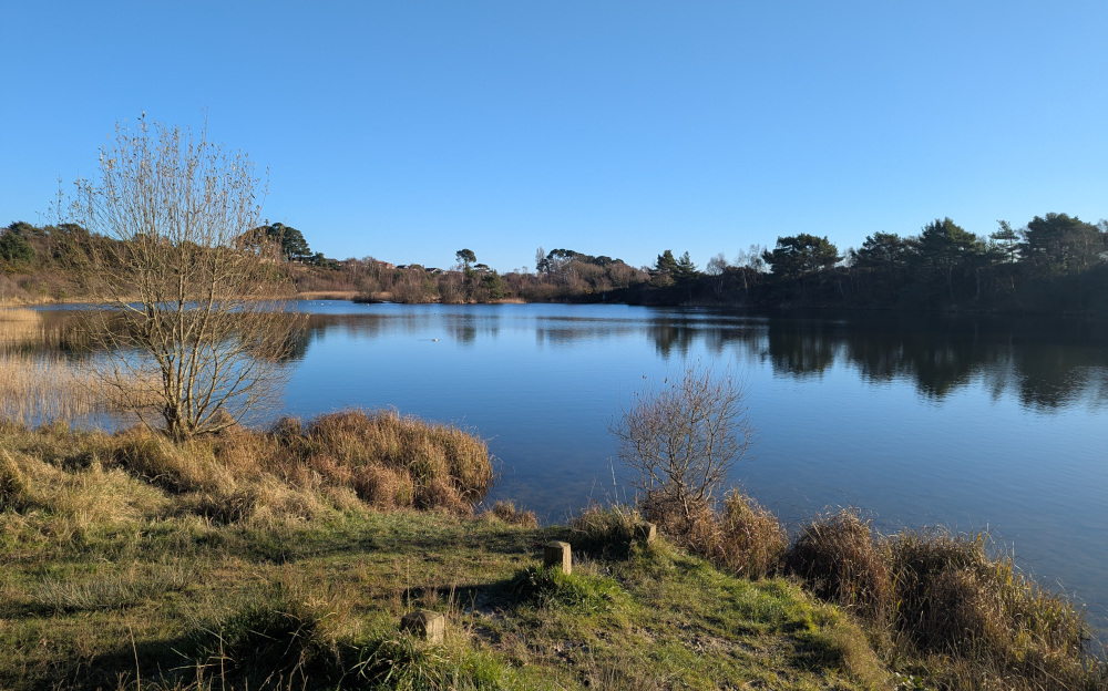 A peaceful blue lake framed by heathland and rushes