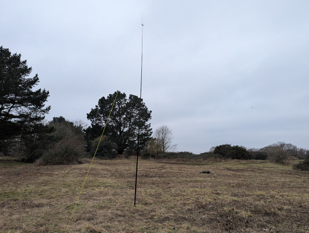 Pole and inverted V antenna against a background of brown scrub and grey sky