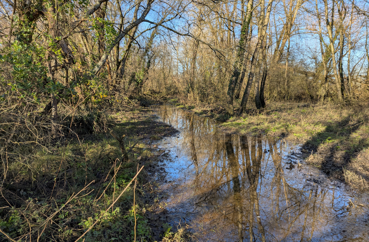 Extremely waterlogged path down to Bronze Lake