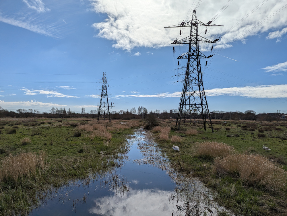 View over the marsh, with electricity pylons sticking out of the water