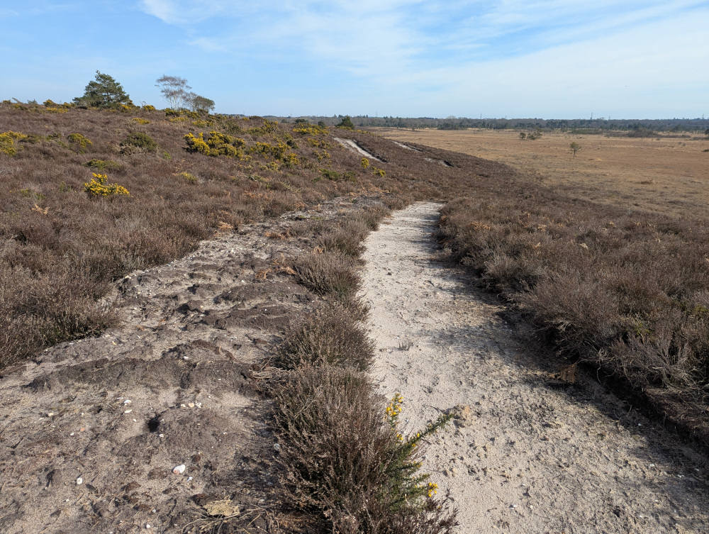 Exposed sand caused by removing the topsoil