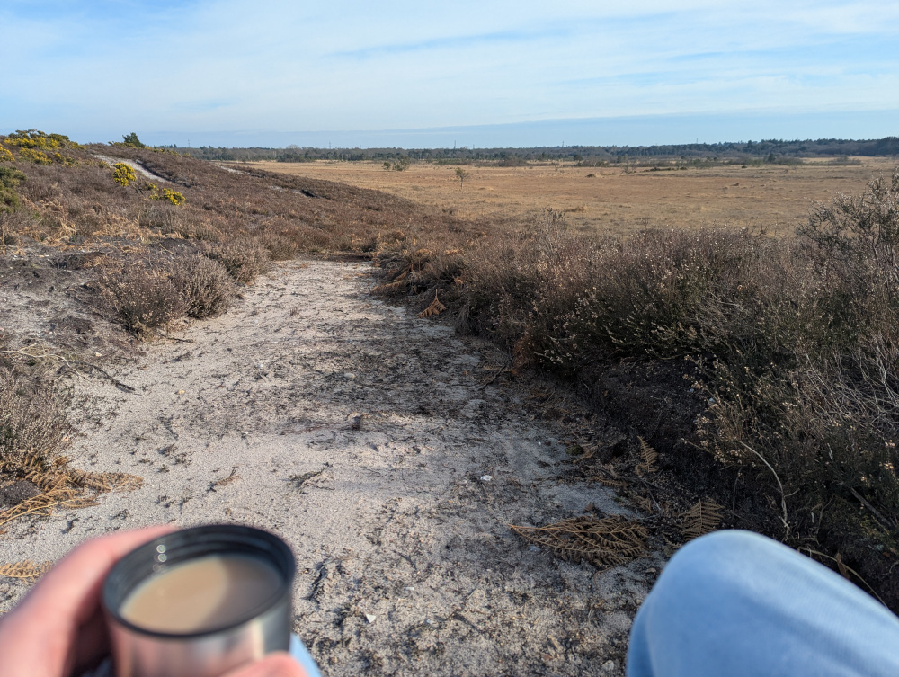 Cup of tea on my knees, with heath in the background