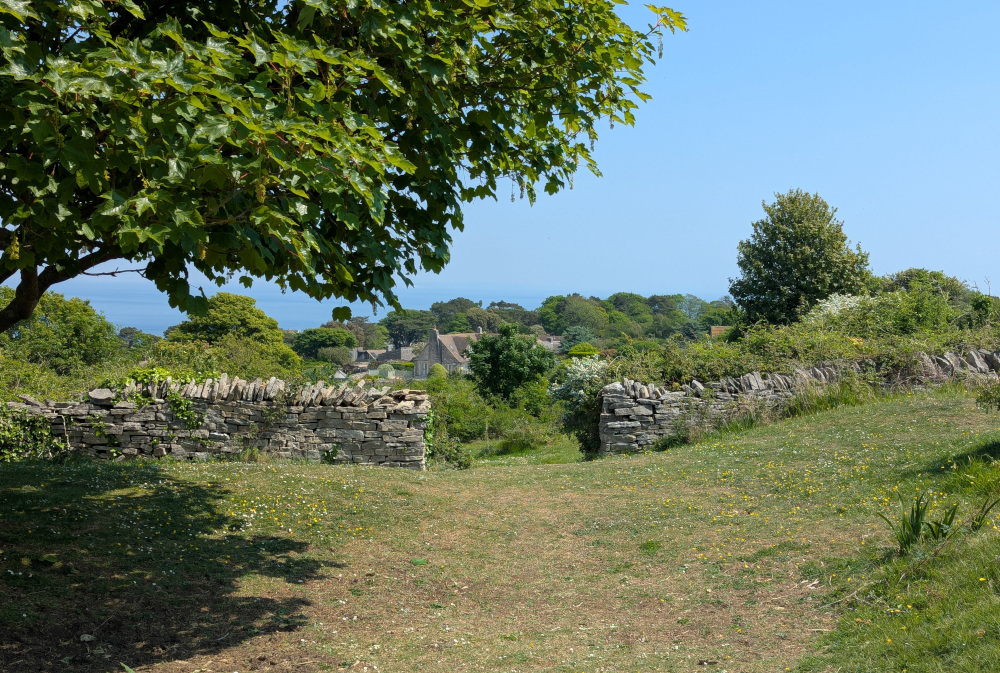 An open gate in dry-stone wall, shaded by a tree