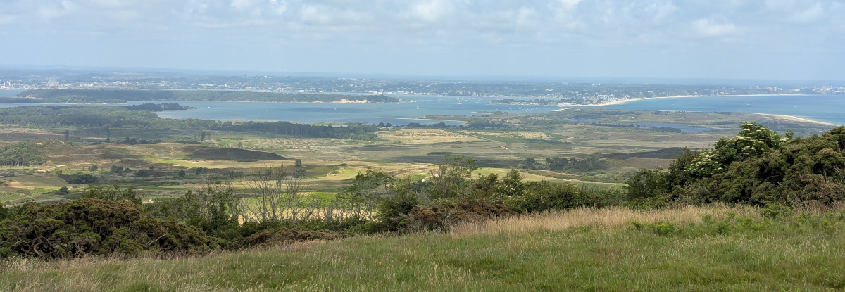 View of Poole Harbour from Nine Barrow Down