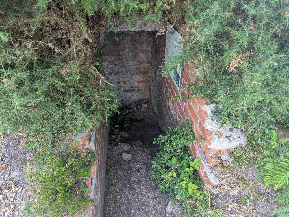 A small brick-built entrance going down into the ground, surrounded by vegetation