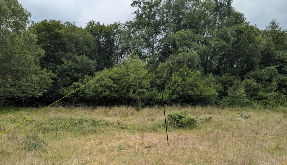 A grassy field with a wire antenna supported on a low pole