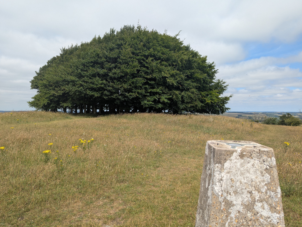Trig point and Win Green's characteristic clump of trees in the background