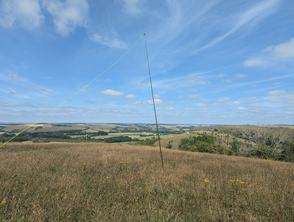 Inverted-V dipole antenna in long grass with a bright blue sky above