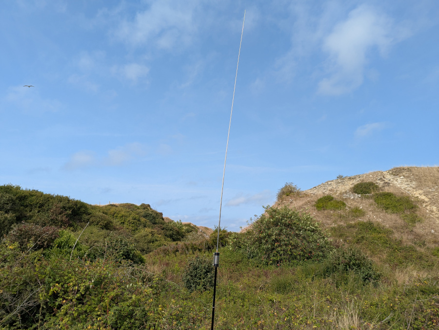 Vertical antenna surrounded by greenery