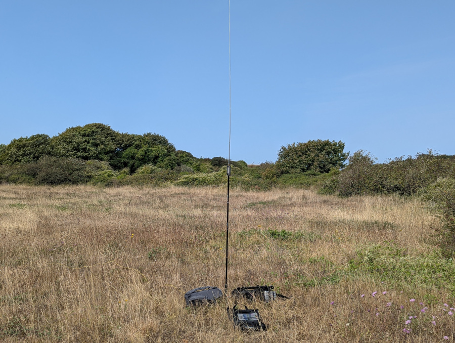 Another photo of a vertical antenna amongst grassland and bushes
