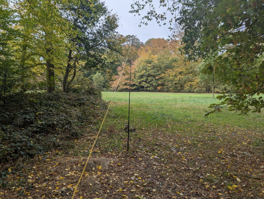 Dipole antenna in the park