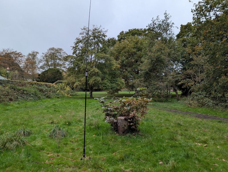 Antenna next to a tree stump covered in small shoots