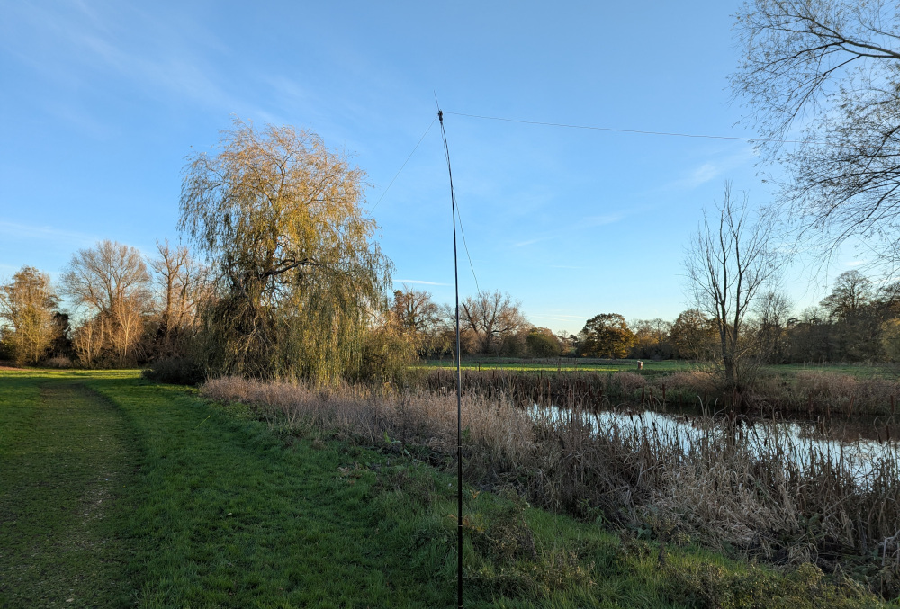 Antenna pole and almost invisible antenna wire, next to reeds and a pond