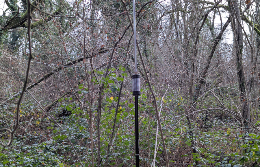 Coil of vertical antenna surrounded by brown foliage