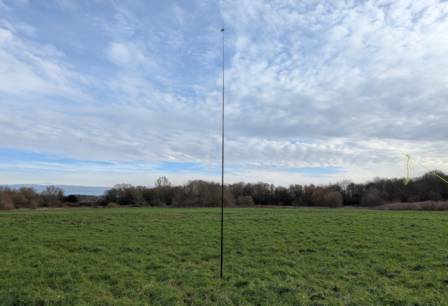 Dipole antenna surrounded by grass