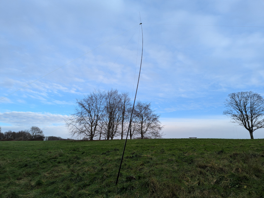Dipole antenna surrounded by grass