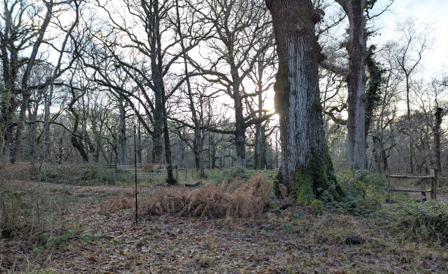 Radio station in Langley Wood