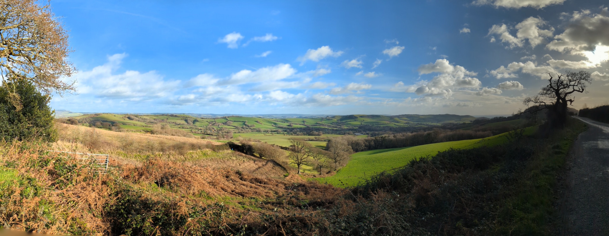Panoramic view of rolling downs