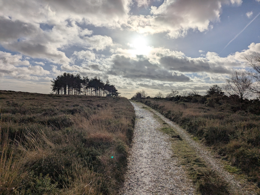 Path leading to a copse of trees on top of the hill