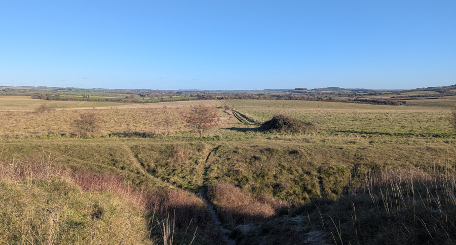 View of Martin Down.
