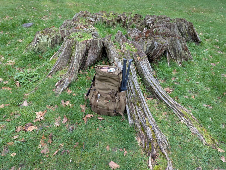Rucksack leaning against a huge and rotten tree stump