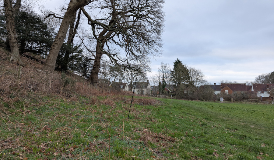 JPC-12 antenna on the edge of a sloping green field, with overhanging trees to the left