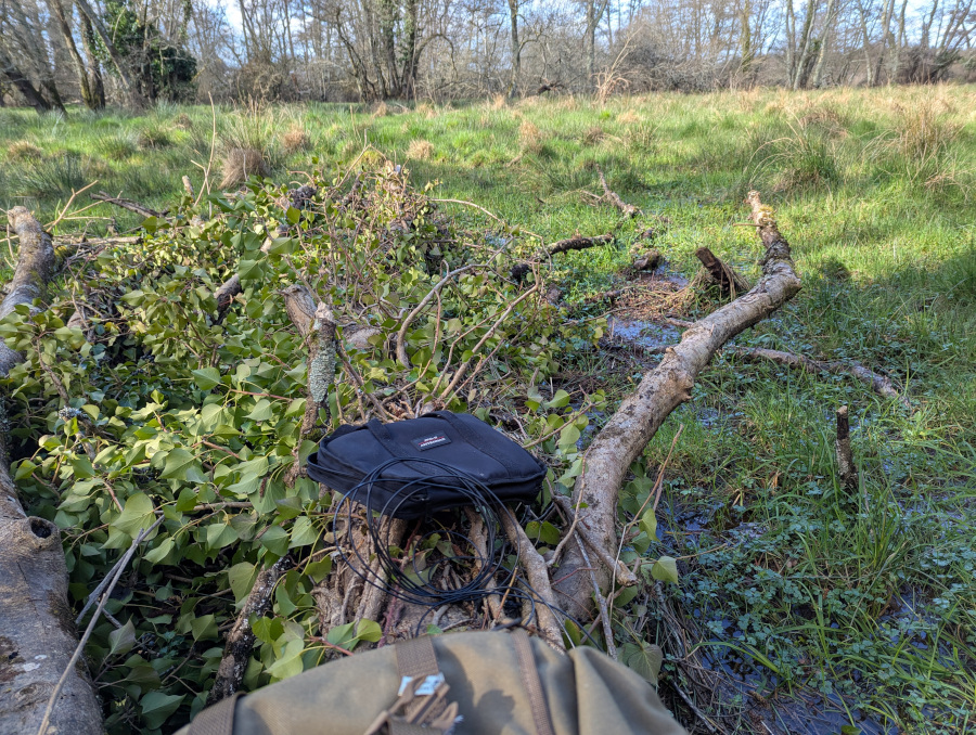 A fallen tree, surrounded by grass through which water is visible. Part of my kit bag, the JPC-12 bag and some coiled coax is laid out on the tree trunk