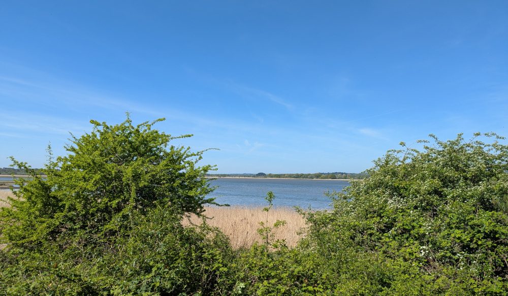 View of Poole Harbour from Turlin Moor viewpoint