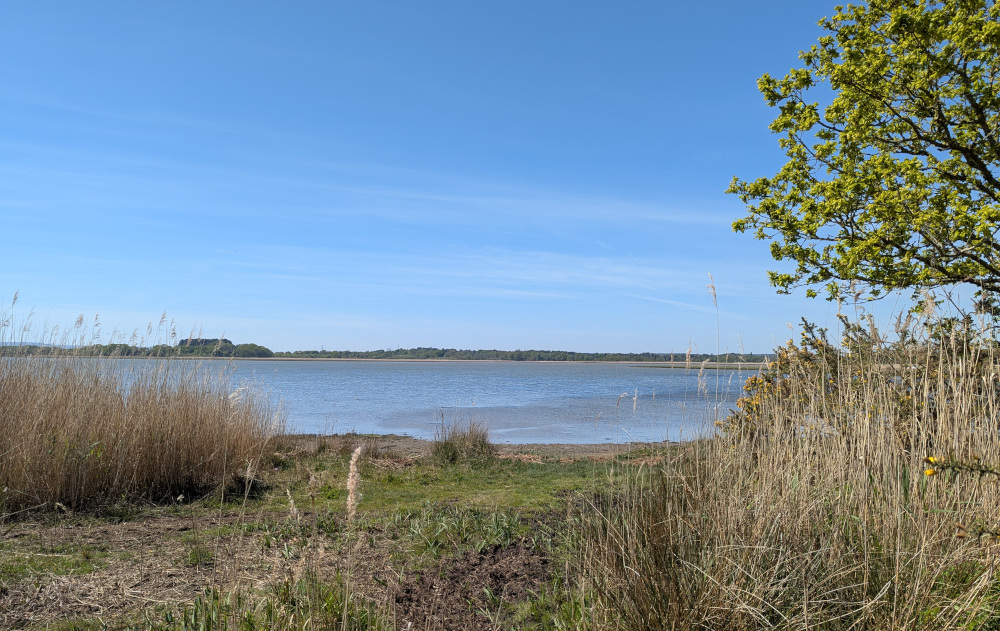 View of Poole Harbour from Lytchett Bay Nature Reserve