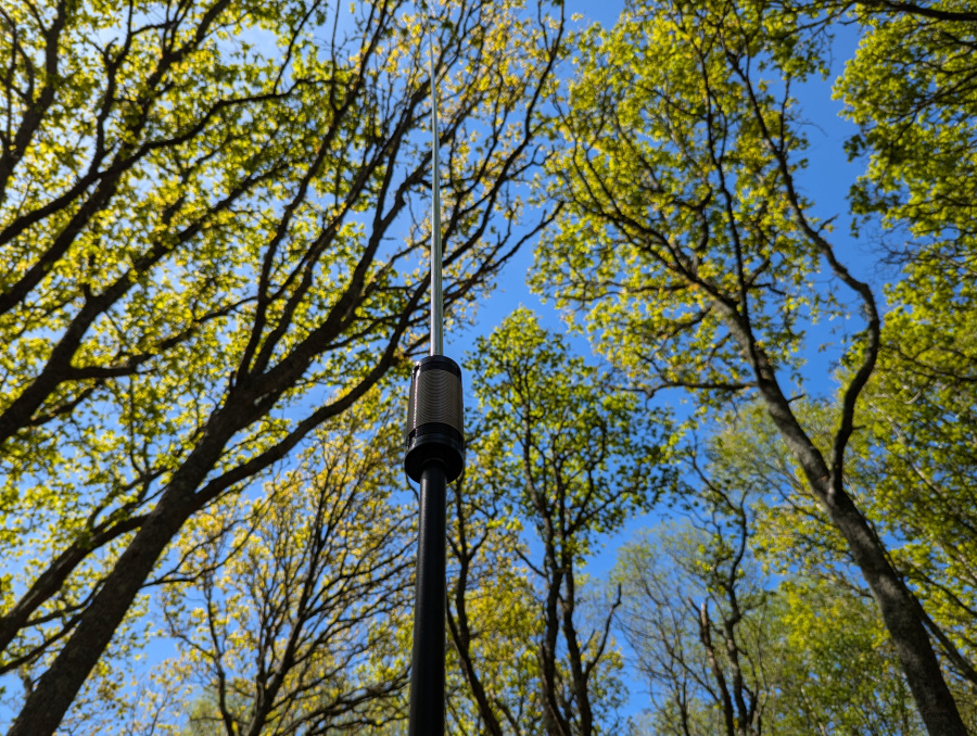 Photo looking up past the JPC-12 coil in the foreground to the tree canopy in the background