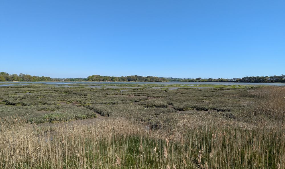 View of Poole Harbour from Upton Country Park