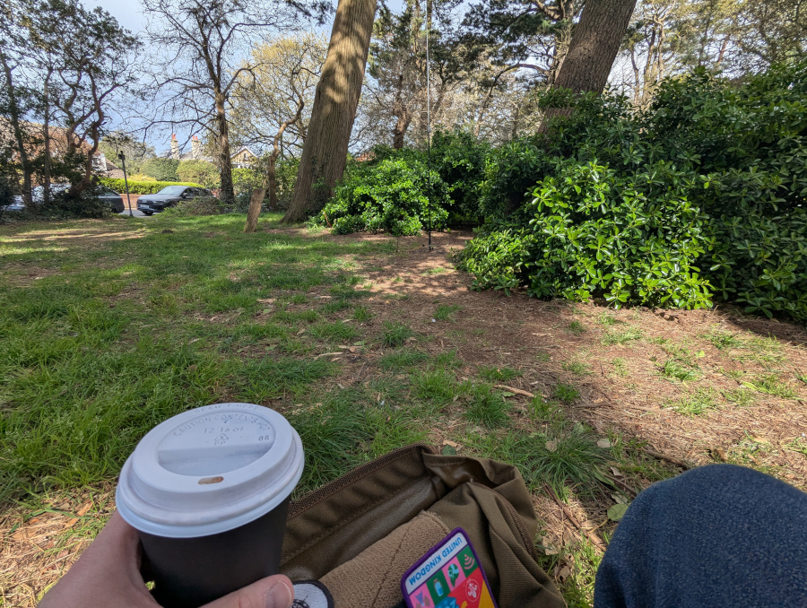 JPC-12 vertical antenna surrounded by bushes. A disposable coffee cup is in my hand in the foreground.