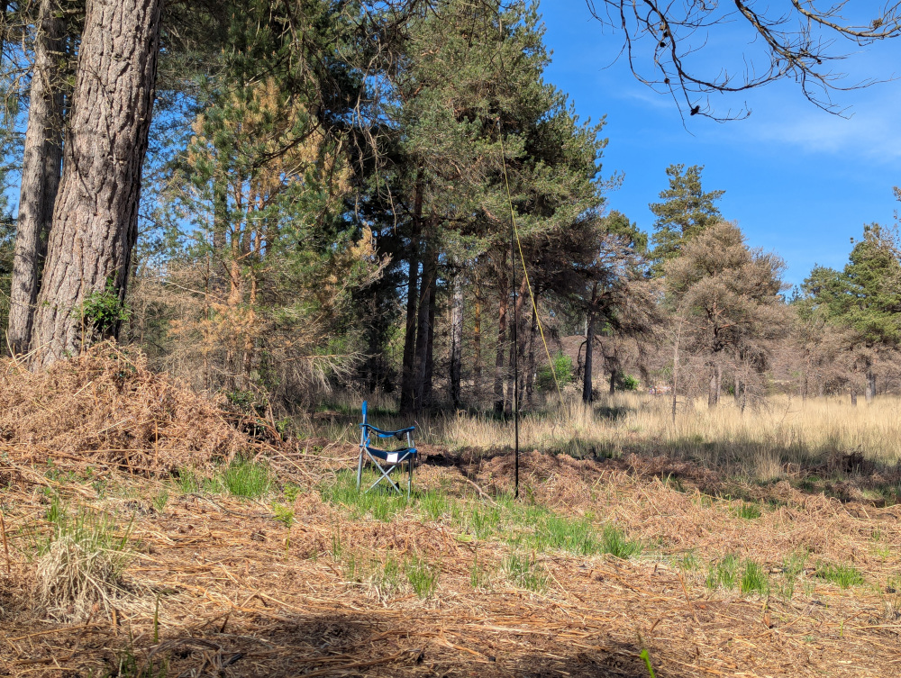 Dipole antenna and a camp chair, with woods on one side and an open area of heath on the other