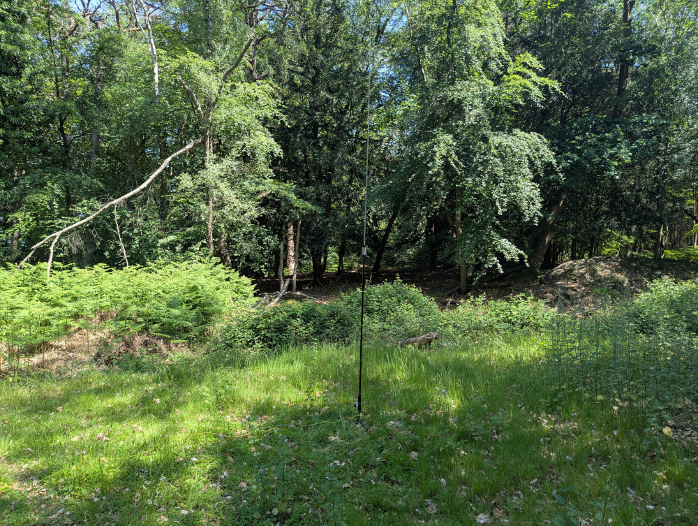 Antenna at Franchises Wood